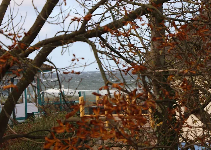 Daire Birkenhof App 20